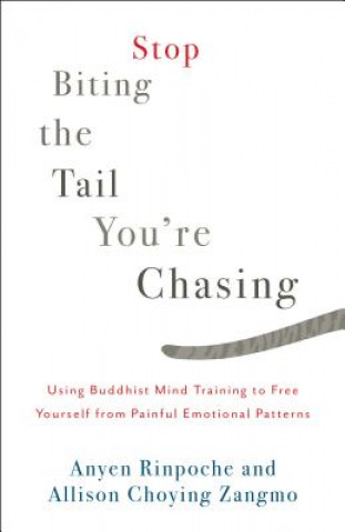 Livro Stop Biting the Tail You're Chasing Anyen Rinpoche