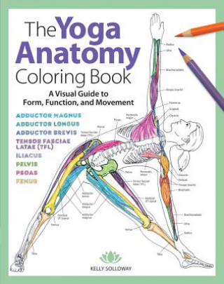 Carte Yoga Anatomy Coloring Book KELLY SOLLOWAY