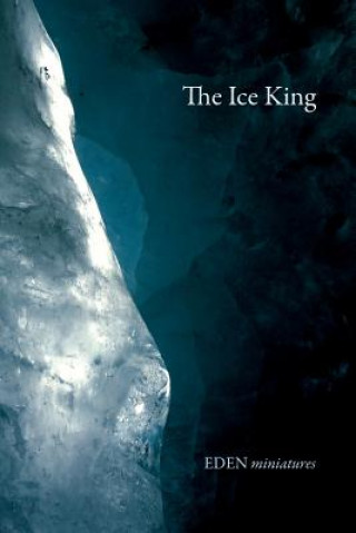 Książka Ice King Frei (Eth Zurich Tu Wien)