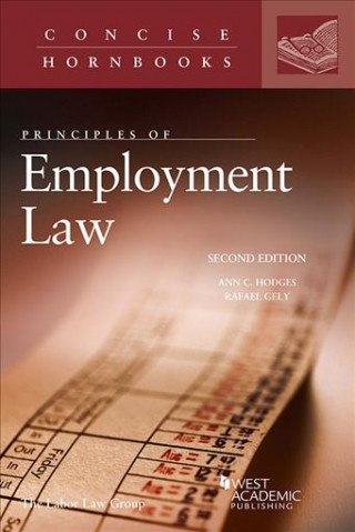 Książka Principles of Employment Law Ann Hodges