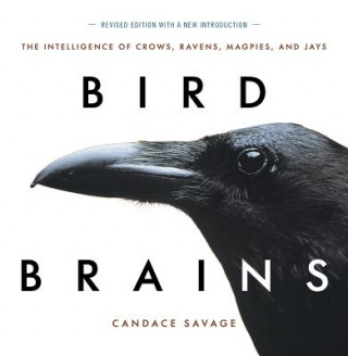 Kniha Bird Brains Candace Savage