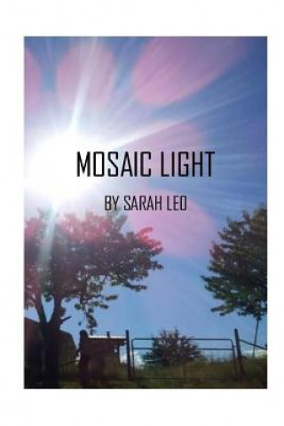 Book Mosaic Light Sarah Leo