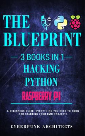 Könyv Raspberry Pi & Hacking & Python Cyberpunk Architects