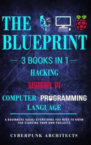 Buch Raspberry Pi & Hacking & Computer Programming Languages Cyberpunk Architects