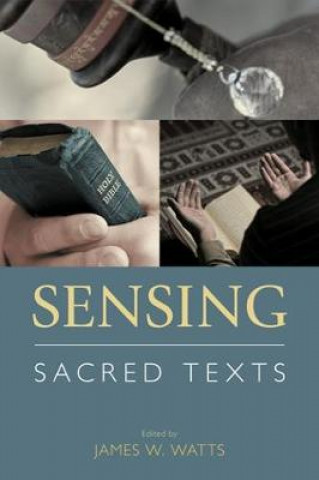 Buch Sensing Sacred Texts James W Watts