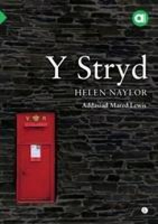 Kniha Cyfres Amdani: Stryd, Y Helen Naylor