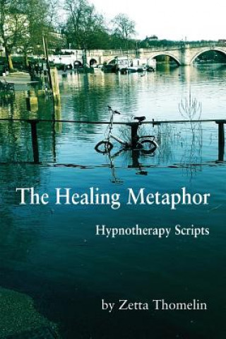 Livre Healing Metaphor Zetta Thomelin