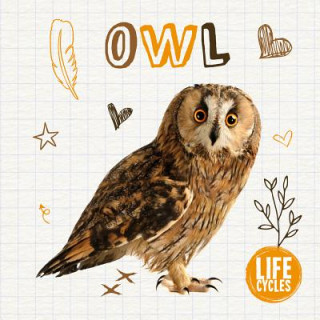 Könyv Owl Madeline Tyler