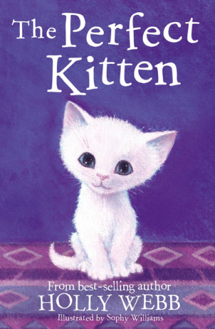 Kniha Perfect Kitten Holly Webb