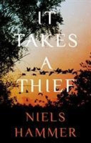 Carte It Takes a Thief Niels Hammer