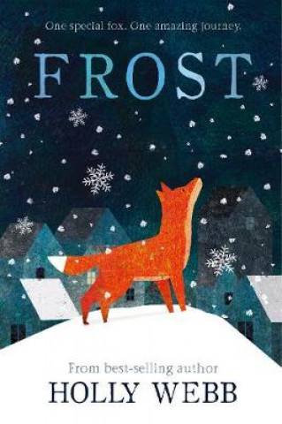 Könyv Frost Holly Webb