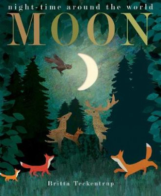 Книга Moon Patricia Hegarty