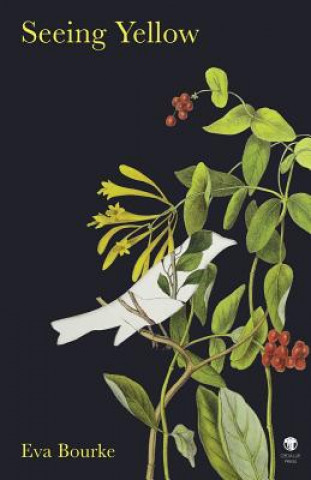 Buch Seeing Yellow EVA BOURKE