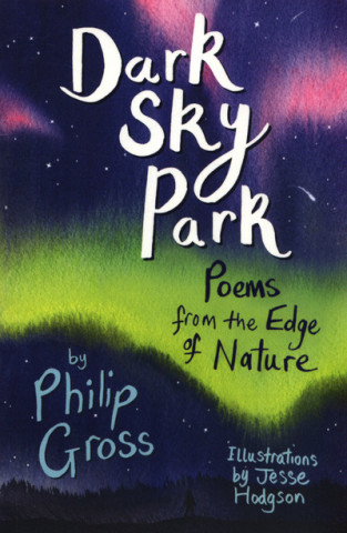 Buch Dark Sky Park Philip Gross