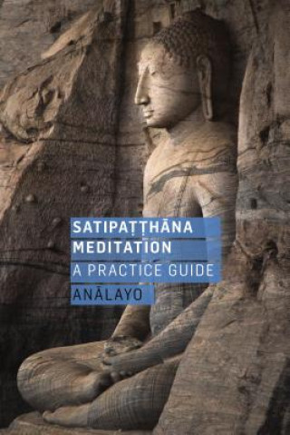Книга Satipatthana Meditation 