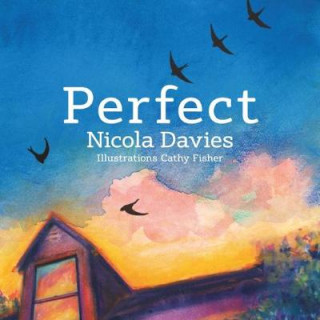 Книга Perfect Nicola Davies
