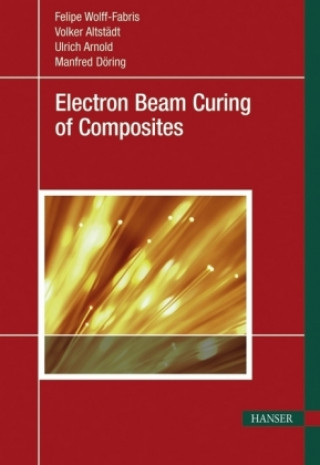 Kniha Electron Beam Curing of Composites Felipe Wolff-Fabris