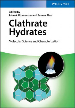 Könyv Clathrate Hydrates John A. Ripmeester