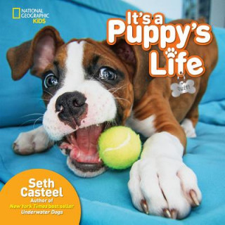 Kniha It's a Puppy's Life Seth Casteel