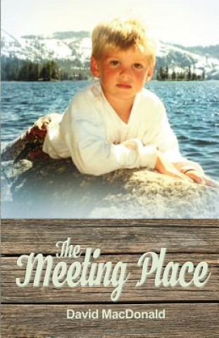 Книга The Meeting Place David MacDonald