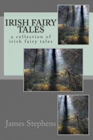 Kniha Irish fairy tales: a collection of irish fairy tales MR James Stephens