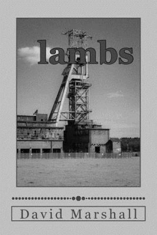 Knjiga Lambs Mr David Marshall