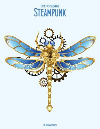 Kniha Livre de coloriage Steampunk 2 Nick Snels