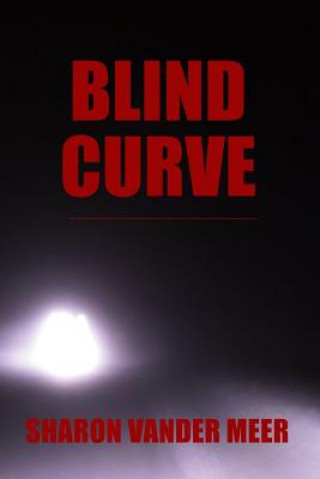 Kniha Blind Curve Sharon Vander Meer