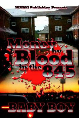 Boek Money By Blood In The 845 Baby Boy