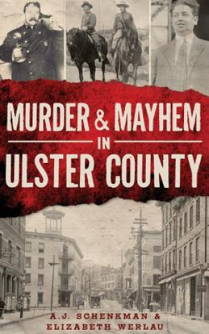 Knjiga Murder & Mayhem in Ulster County A J Schenkman