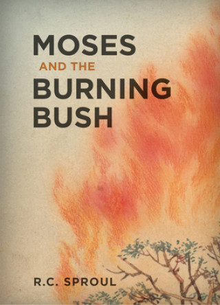 Livre Moses and the Burning Bush R C Sproul