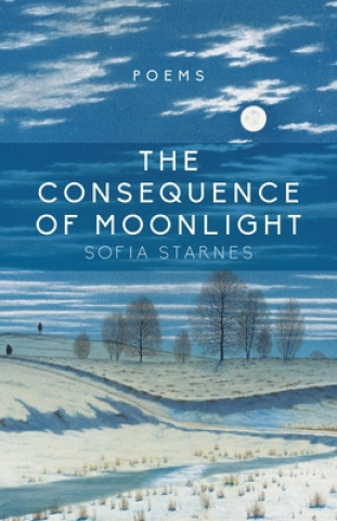 Kniha Consequence of Moonlight Sofia Starnes