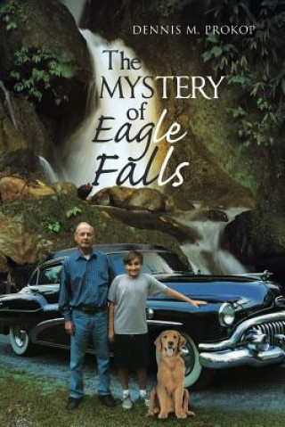 Knjiga Mystery of Eagle Falls Dennis M Prokop