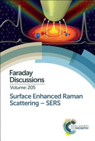Kniha Surface Enhanced Raman Scattering - SERS Royal Society Of Chemistry