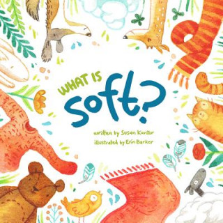 Kniha What Is Soft? Susan Kantor