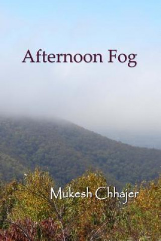 Könyv Afternoon Fog Mukesh Chhajer