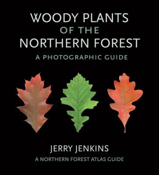 Book Woody Plants of the Northern Forest Jerry Jenkins