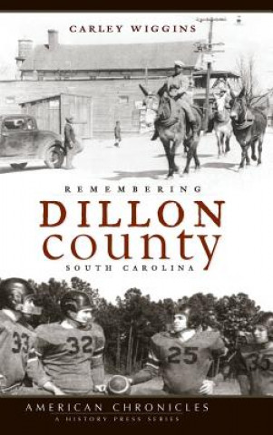 Kniha Remembering Dillon County, South Carolina Carley Wiggins