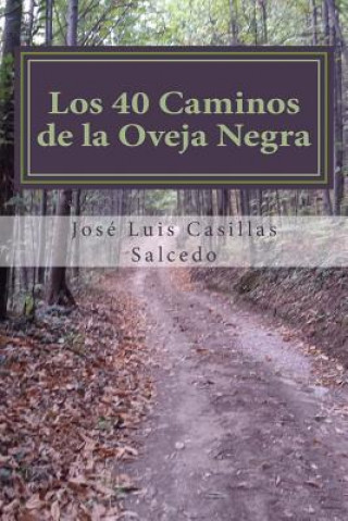 Könyv Los 40 caminos de la oveja negra: Como ser diferente, como ser feliz Jose Luis Casillas Salcedo
