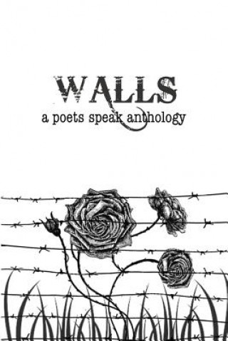 Βιβλίο Walls John Roche