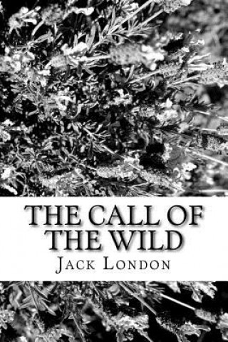 Kniha The Call of the Wild Jack London