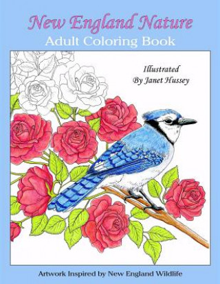 Kniha New England Nature: Adult Coloring Book Janet Hussey