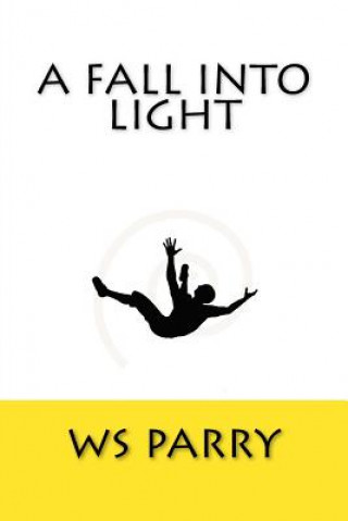 Knjiga A Fall Into Light Ws Parry