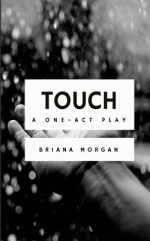 Kniha Touch Briana Morgan