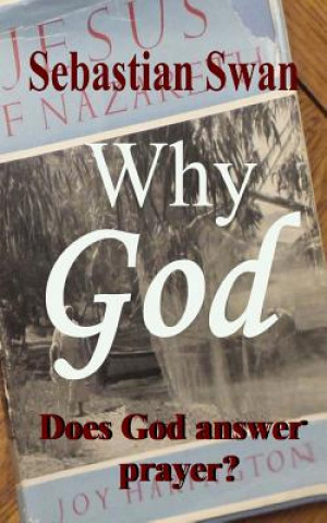 Книга Why GOD: Does God answer prayer? Sebastian Swan