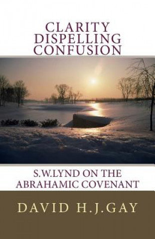 Buch Clarity Dispelling Confusion: S.W.Lynd on the Abrahamic Covenant David H J Gay