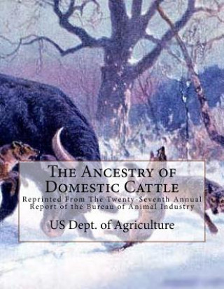 Buch The Ancestry of Domestic Cattle: Reprinted From The Twenty-Seventh Annual Report of the Bureau of Animal Industry Us Dept of Agriculture