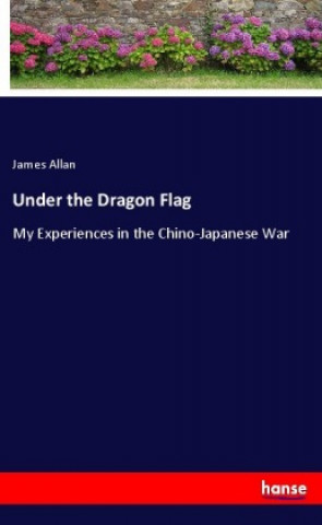 Könyv Under the Dragon Flag James Allan