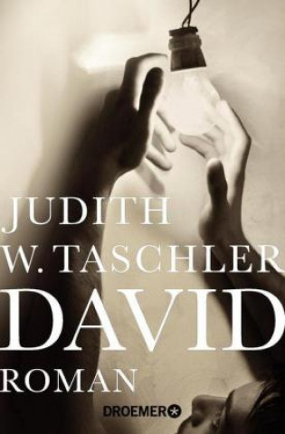 Kniha David Judith W. Taschler