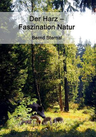 Könyv Harz - Faszination Natur Bernd Sternal